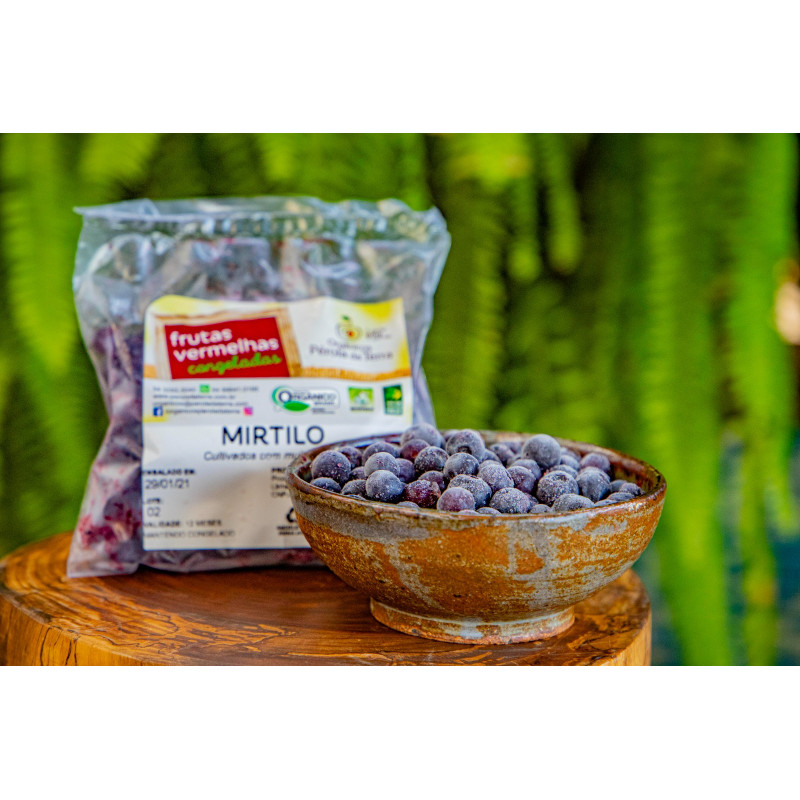 Mirtilo Congelado Orgânico 200g Mirtilo Congelado Orgânico 200g
